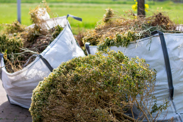 Best Dumpster Rental Services  in Alpine, NJ